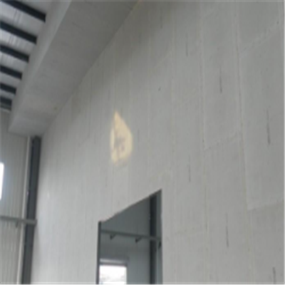 沁水宁波ALC板|EPS加气板隔墙与混凝土整浇联接的实验研讨